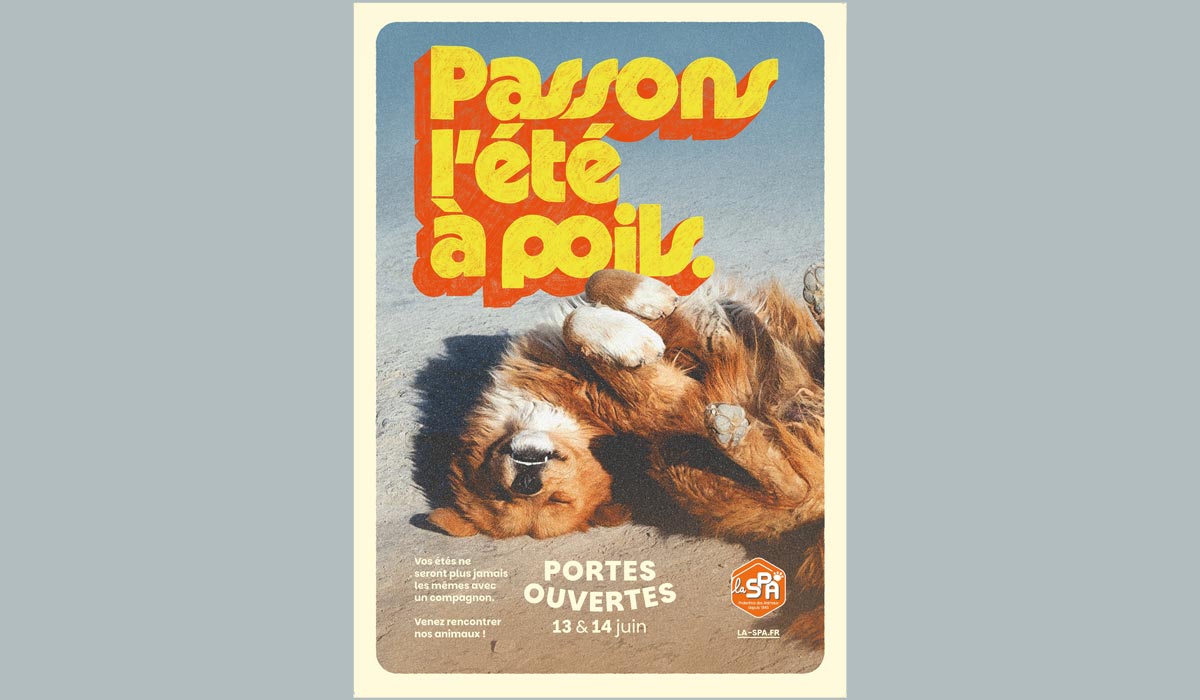Portes Ouvertes de la SPA – 13 et 14 juin / L’été à poils commence ici Portes Ouvertes de la SPA – 13 et 14 juin / L’été à poils commence ici