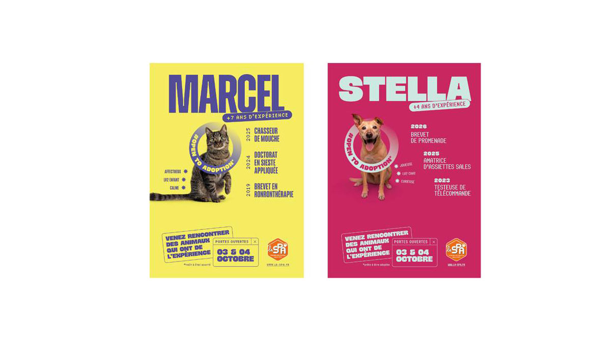 Portes Ouvertes de la SPA – 3 et 4 octobre 2026. Venez rencontrer des animaux qui ont de l’expérience ! Portes Ouvertes de la SPA – 3 et 4 octobre 2026. Venez rencontrer des animaux qui ont de l’expérience !