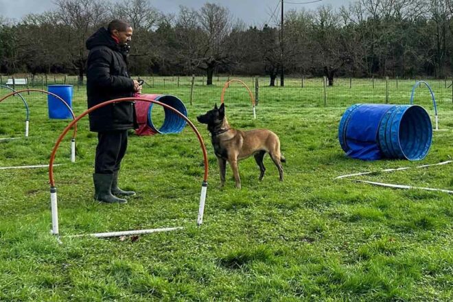 Mes activités professionnelles entre éthologie et soft skills