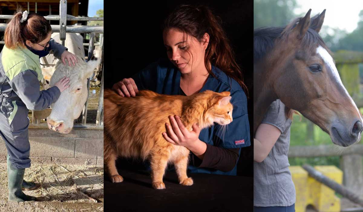 Rencontre avec Stéphanie Papagno ostéopathe animalier