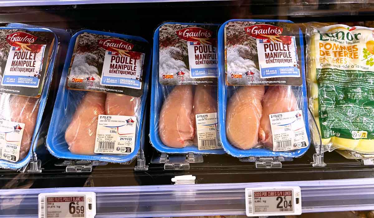 Enquête : des poulets Le Gaulois sélectionnés génétiquement
