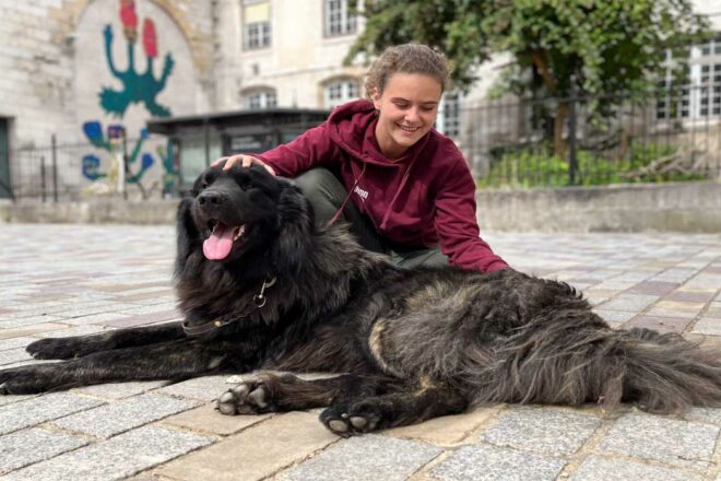 Pourquoi faire appel à un ostéopathe pour votre animal ?