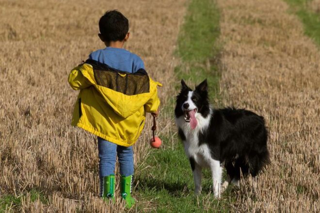 Témoignage de la genèse du livre TERRE DES BÊTES