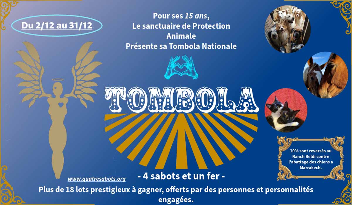 Le sanctuaire animal 4 sabots et Un fer lance sa tombola artistiquement engagée et souffle ses 15 bougies…