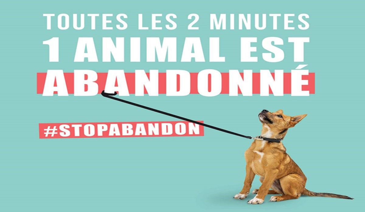 Solidarité-Peuple-Animal, ensemble aidons les refuges et associations pour animaux