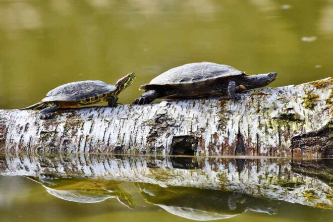 Laissons la possibilité aux générations futures de mettre fin aux catastrophes morales
