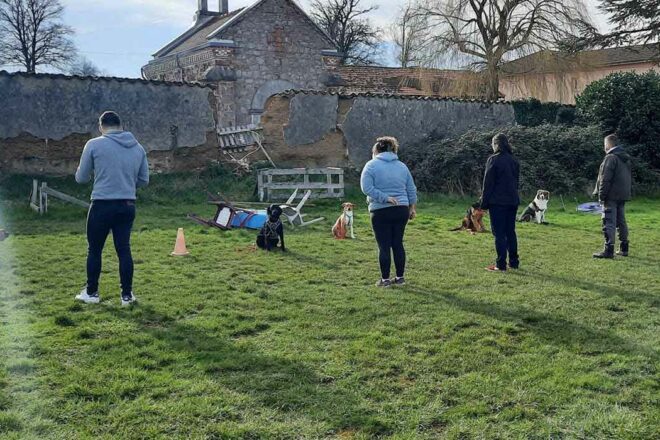 L’éducation canine par et pour le bien-être