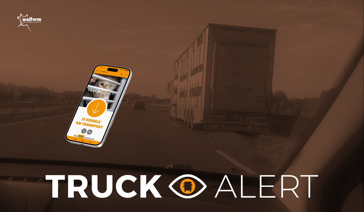 Truck Alert : quand les citoyens deviennent lanceurs d’alerte Truck Alert : quand les citoyens deviennent lanceurs d’alerte