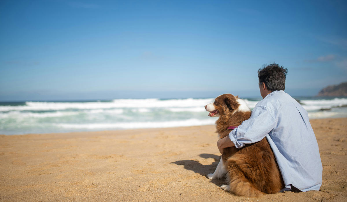 En route pour des vacances pet friendly !