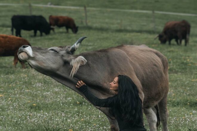 Du sanctuaire au plaidoyer politique : l’association Co&xister porte toujours plus d’espoirs pour les animaux