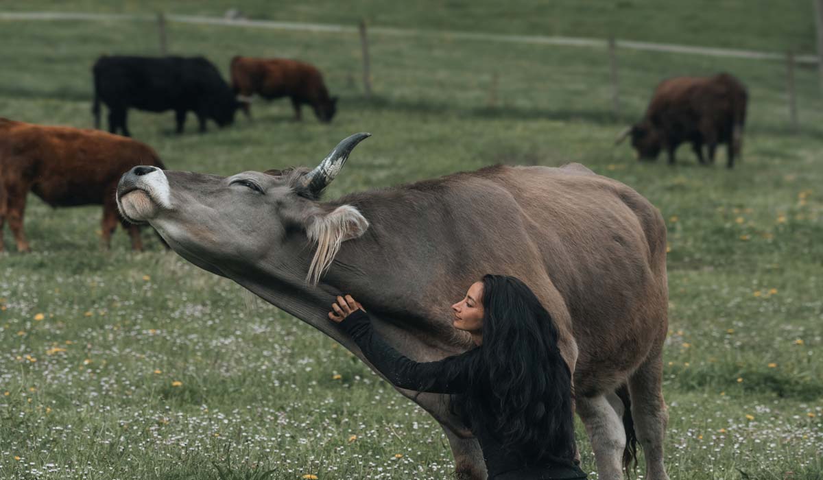 Du sanctuaire au plaidoyer politique : l’association Co&xister porte toujours plus d’espoirs pour les animaux