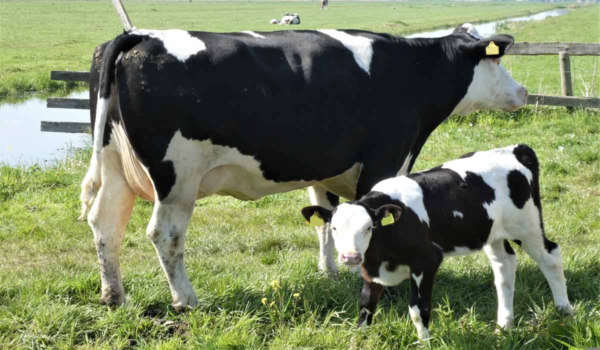 Une agriculture paysanne et bio, qui nourrit, préserve la biodiversité et la santé : NOTRE loi d’urgence agricole