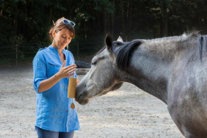 Communication animale résonance de l’âme 