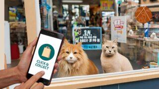 Argos 42 lance une pétition pour mettre fin au “Click & Collect” d’animaux en animalerie