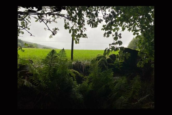 Le Verger – Ferme Familiale