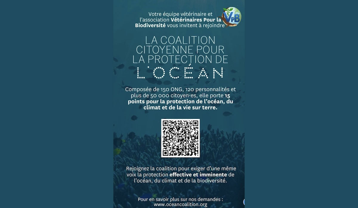 Vétérinaires pour la Biodiversité appelle à une mobilisation pour la protection de l’océan