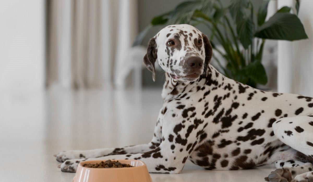 La nutrition comme outil de prévention? La nutrition comme outil de prévention?