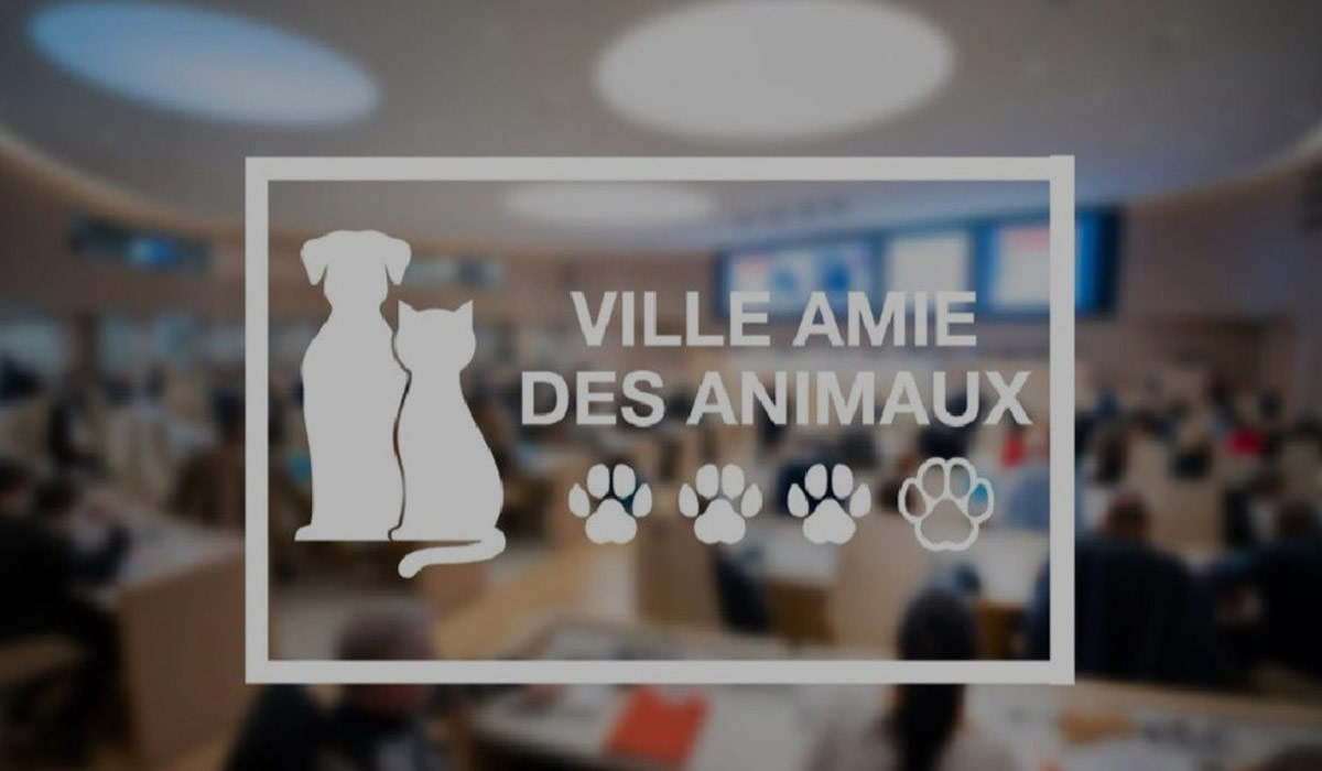 Renforcement du label “Ville amie des animaux”. Vers un label plus inclusif…