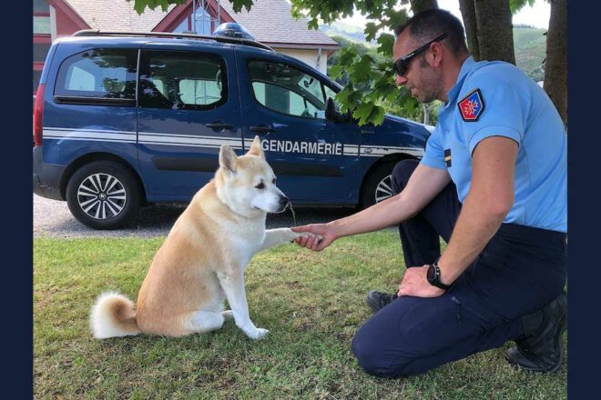 Un engagement, la sécurité des animaux