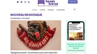 Square Animal, le média qui explore nos liens avec les animaux