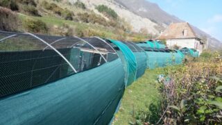 Aidez les animaux sauvages cet été ! Participez aux activités du Tichodrome