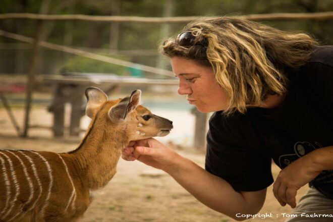 VolonTerre Africa décrypte certains enjeux de l’éco-volontariat