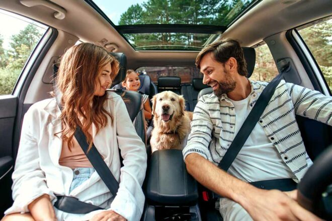 Voyager avec son chien ou son chat : La Niche Qui Voyage vous organise votre voyage 100% pet-friendly !