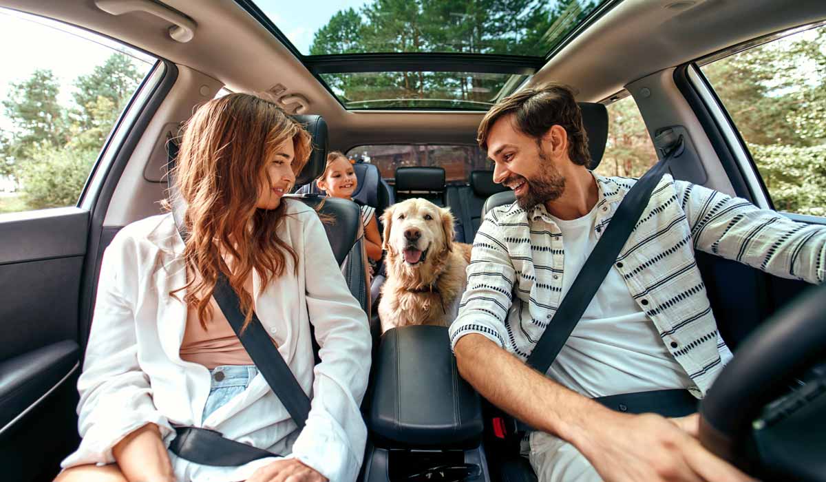 Voyager avec son chien ou son chat : La Niche Qui Voyage vous organise votre voyage 100% pet-friendly !