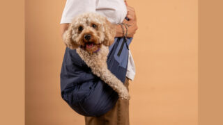 Ce sac de transport pour chiens et chats, inspiré des porte bébés, change la donne !