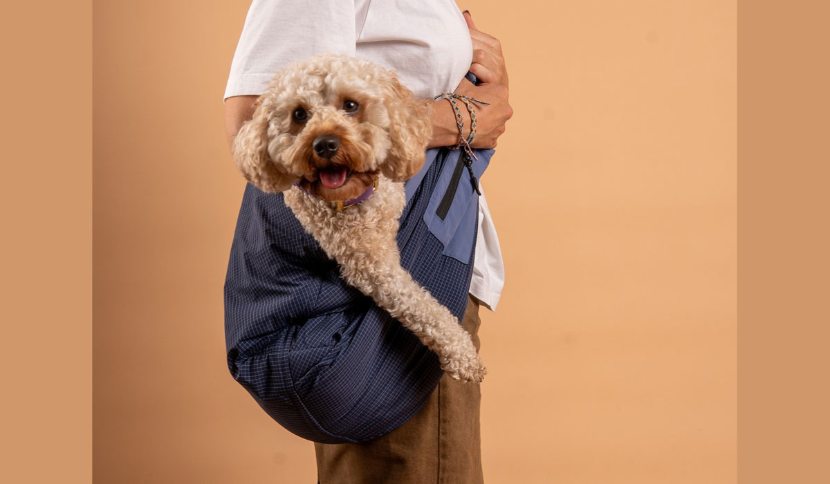 Ce sac de transport pour chiens et chats, inspiré des porte bébés, change la donne !
