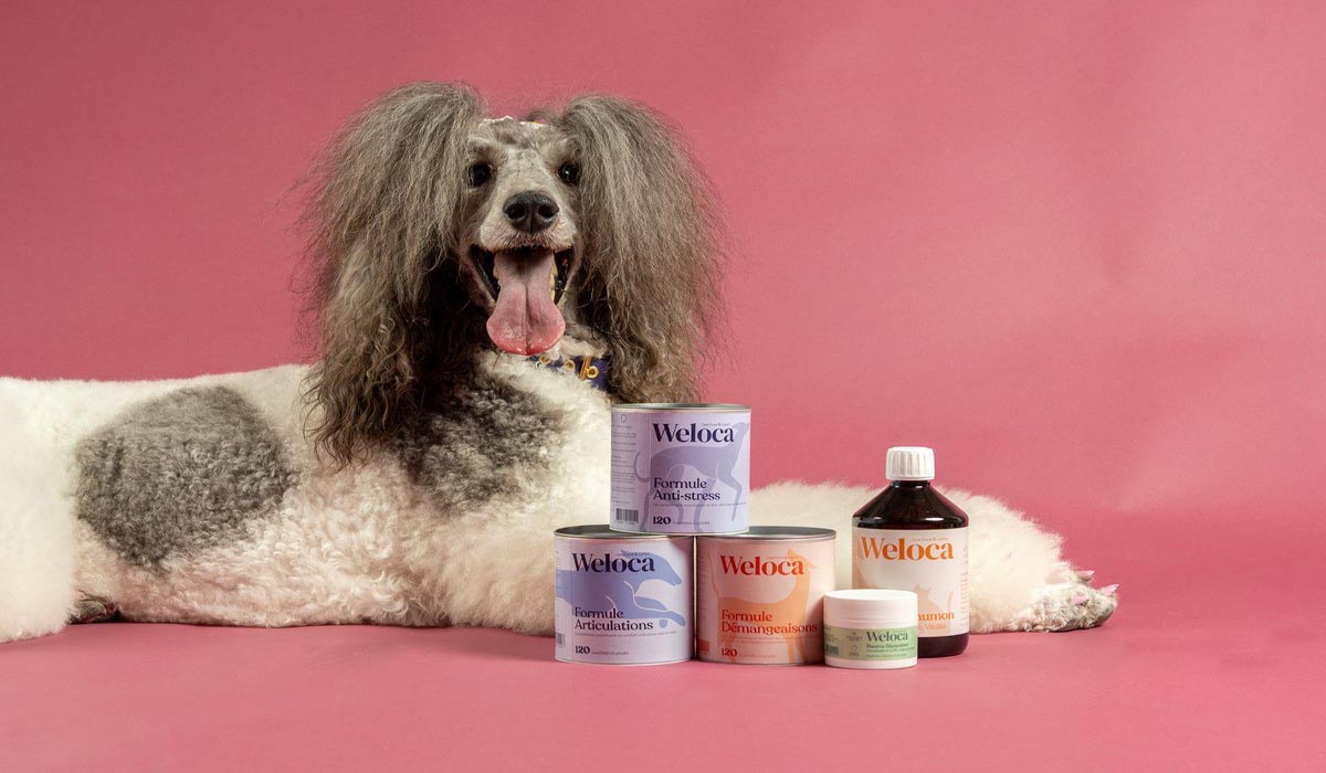 WELOCA lance une gamme inédite de compléments alimentaires pour chiens et chats, validée par des experts vétérinaires et ostéopathes