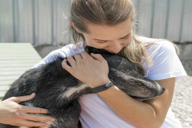 Les vocations dans la protection animale : un parcours en quatre temps