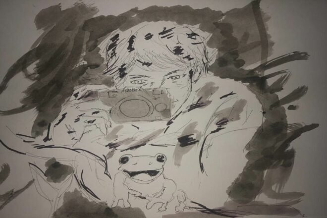 Photographies d’animaux amusantes, attention à la cruauté