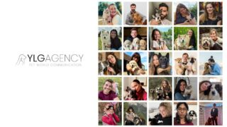 YLG : l’agence de communication dédiée aux amoureux des animaux