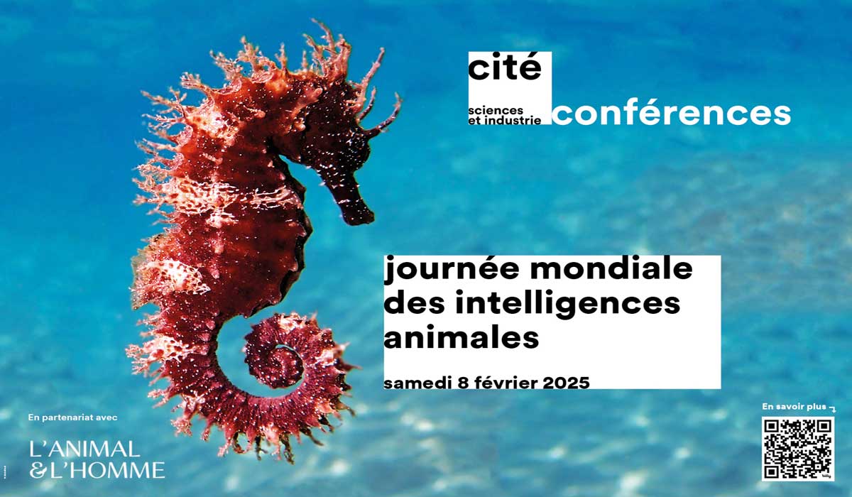 Journée mondiale des intelligences animales Samedi 8 février 2025 de 10h30 à 19h À la Cité des sciences et de l’industrie