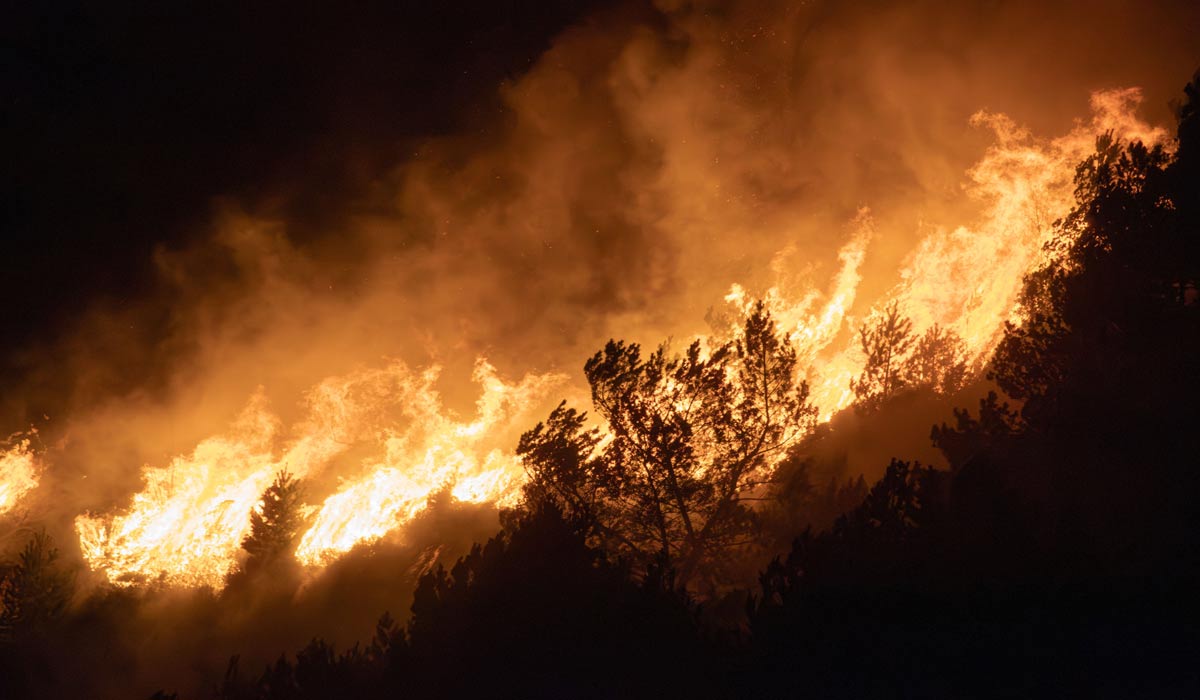 Incendies : l’ONG YouCare lance une cagnotte nationale pour accélérer son programme de reforestation Incendies : l’ONG YouCare lance une cagnotte nationale pour accélérer son programme de reforestation