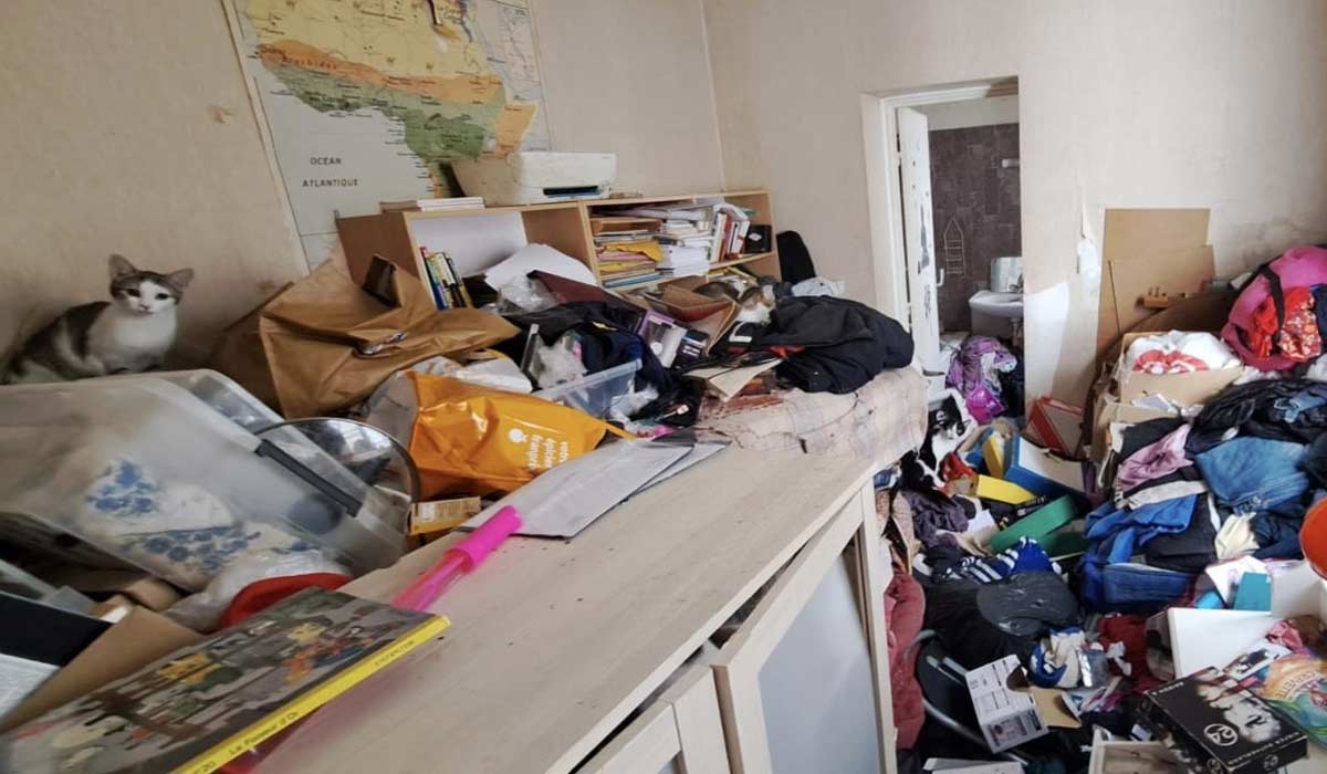 YouCare fait condamner la propriétaire de 104 chats découverts dans un appartement de l’horreur à Paris