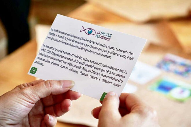 Fresque des animaux et Zoofresque : de nouveaux outils pour comprendre la condition animale en France